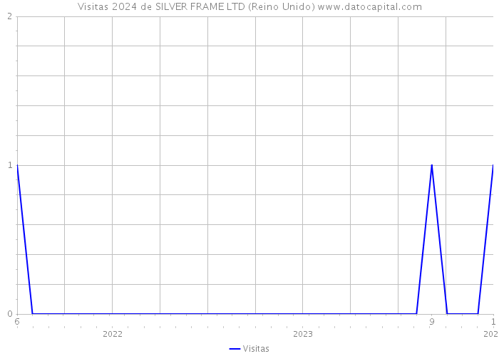 Visitas 2024 de SILVER FRAME LTD (Reino Unido) 