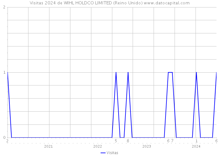 Visitas 2024 de WIHL HOLDCO LIMITED (Reino Unido) 