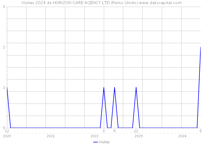 Visitas 2024 de HORIZON CARE AGENCY LTD (Reino Unido) 