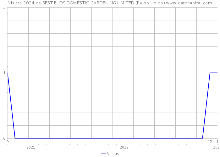 Visitas 2024 de BEST BUDS DOMESTIC GARDENING LIMITED (Reino Unido) 