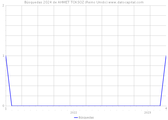 Búsquedas 2024 de AHMET TOKSOZ (Reino Unido) 