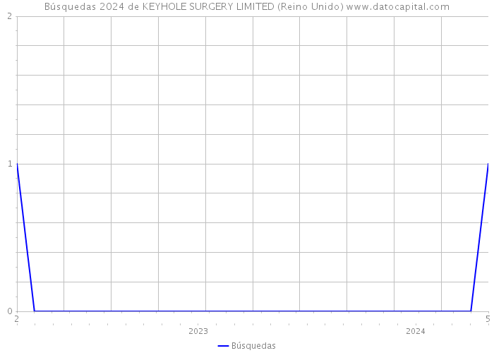 Búsquedas 2024 de KEYHOLE SURGERY LIMITED (Reino Unido) 