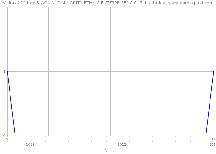 Visitas 2024 de BLACK AND MINORITY ETHNIC ENTERPRISES CIC (Reino Unido) 