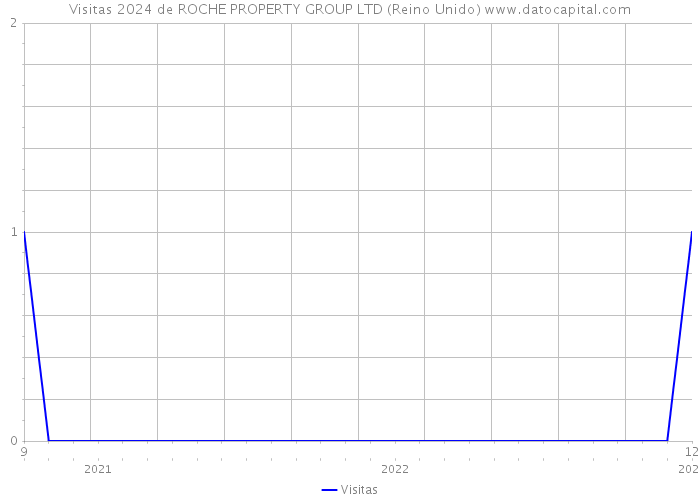 Visitas 2024 de ROCHE PROPERTY GROUP LTD (Reino Unido) 