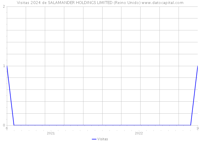 Visitas 2024 de SALAMANDER HOLDINGS LIMITED (Reino Unido) 