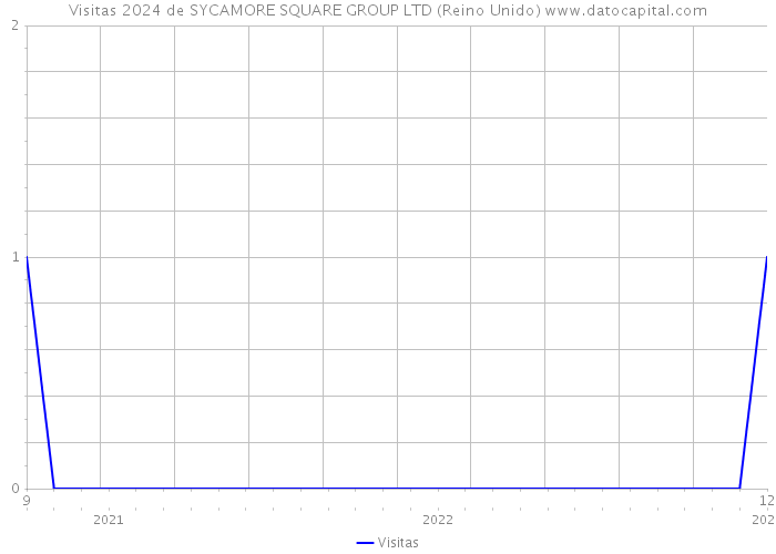 Visitas 2024 de SYCAMORE SQUARE GROUP LTD (Reino Unido) 