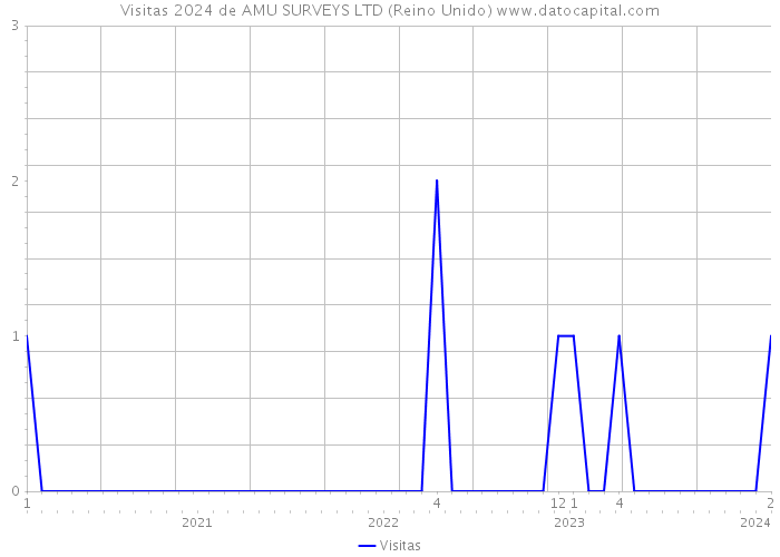 Visitas 2024 de AMU SURVEYS LTD (Reino Unido) 