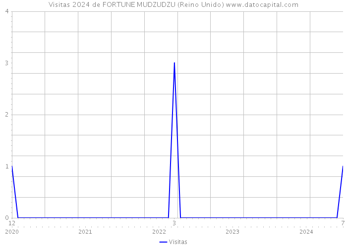 Visitas 2024 de FORTUNE MUDZUDZU (Reino Unido) 