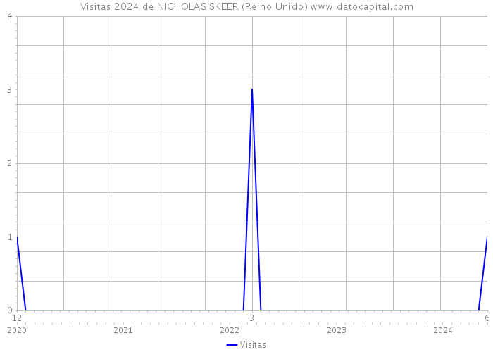 Visitas 2024 de NICHOLAS SKEER (Reino Unido) 