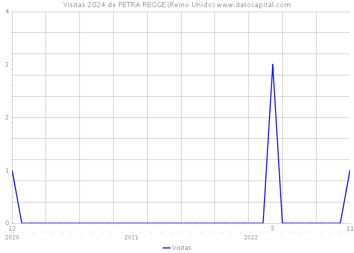 Visitas 2024 de PETRA REGGE (Reino Unido) 