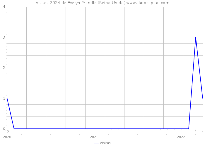 Visitas 2024 de Evelyn Prandle (Reino Unido) 