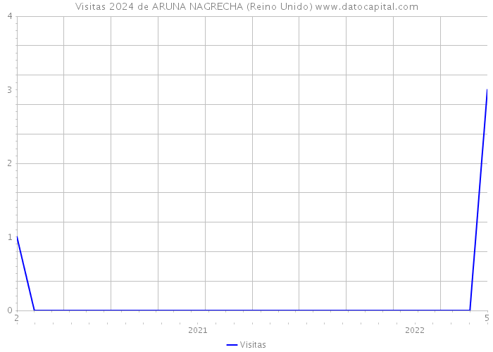 Visitas 2024 de ARUNA NAGRECHA (Reino Unido) 