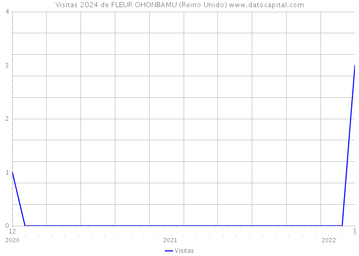 Visitas 2024 de FLEUR OHONBAMU (Reino Unido) 