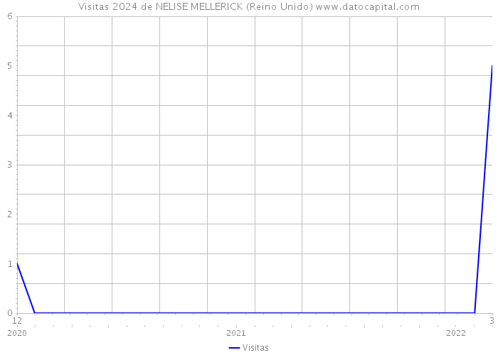 Visitas 2024 de NELISE MELLERICK (Reino Unido) 