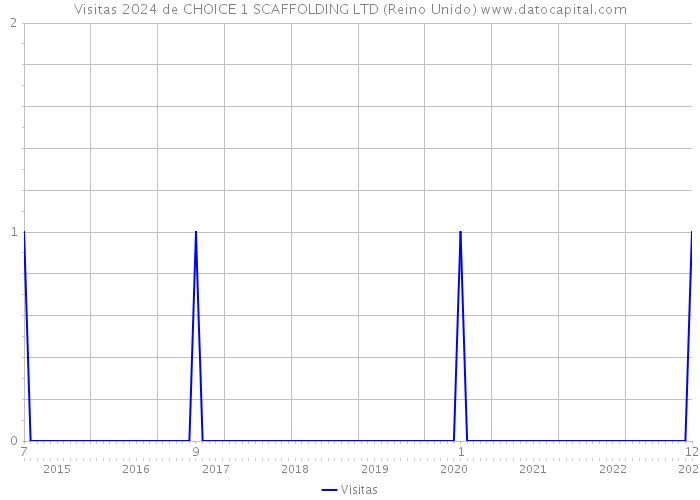 Visitas 2024 de CHOICE 1 SCAFFOLDING LTD (Reino Unido) 