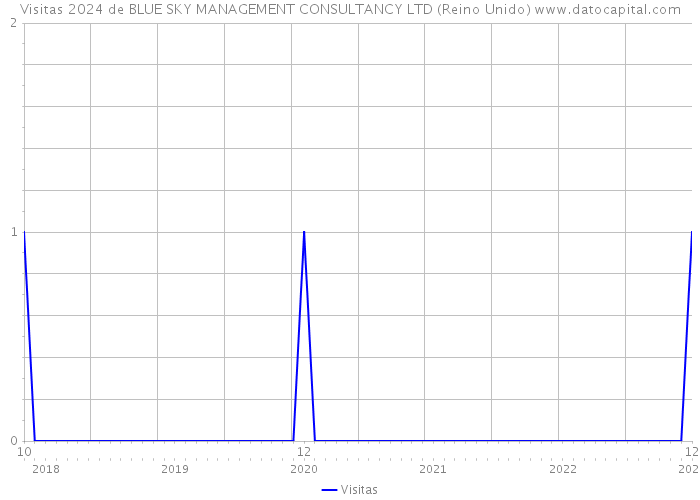 Visitas 2024 de BLUE SKY MANAGEMENT CONSULTANCY LTD (Reino Unido) 