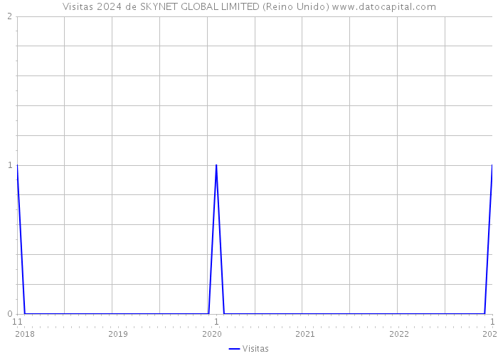 Visitas 2024 de SKYNET GLOBAL LIMITED (Reino Unido) 