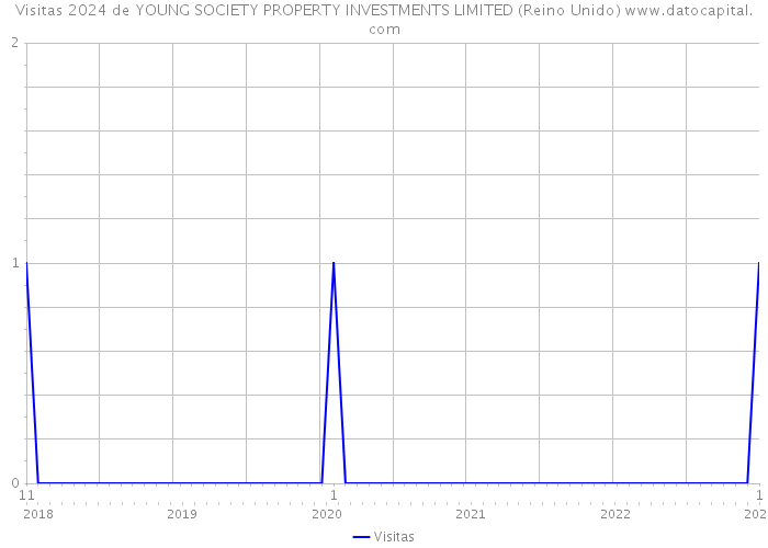 Visitas 2024 de YOUNG SOCIETY PROPERTY INVESTMENTS LIMITED (Reino Unido) 