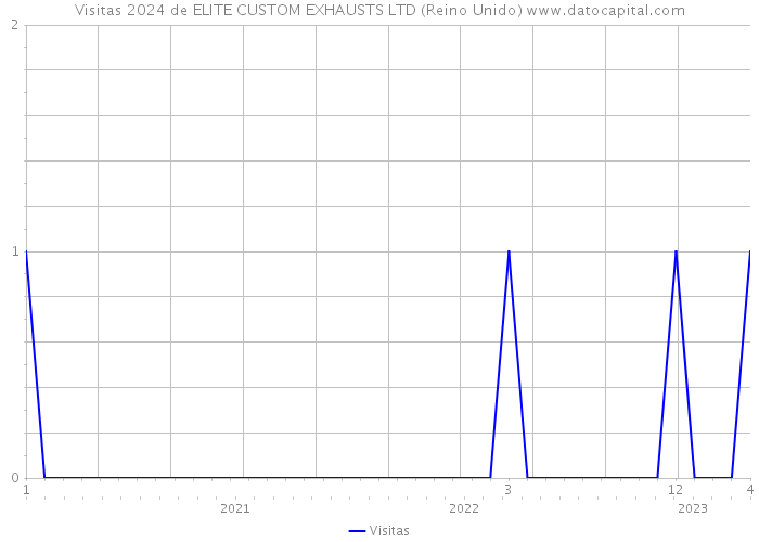 Visitas 2024 de ELITE CUSTOM EXHAUSTS LTD (Reino Unido) 