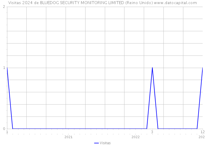 Visitas 2024 de BLUEDOG SECURITY MONITORING LIMITED (Reino Unido) 