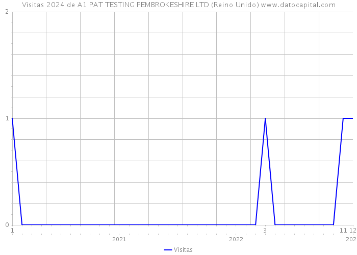 Visitas 2024 de A1 PAT TESTING PEMBROKESHIRE LTD (Reino Unido) 