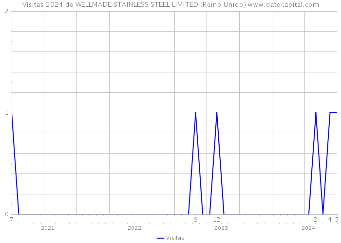 Visitas 2024 de WELLMADE STAINLESS STEEL LIMITED (Reino Unido) 