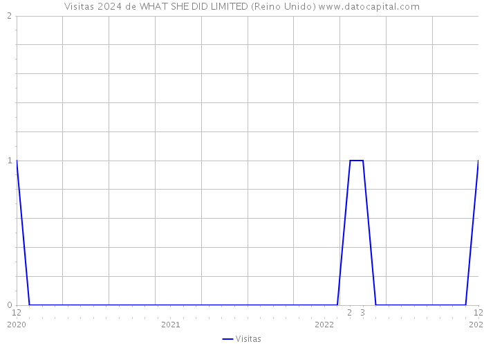 Visitas 2024 de WHAT SHE DID LIMITED (Reino Unido) 