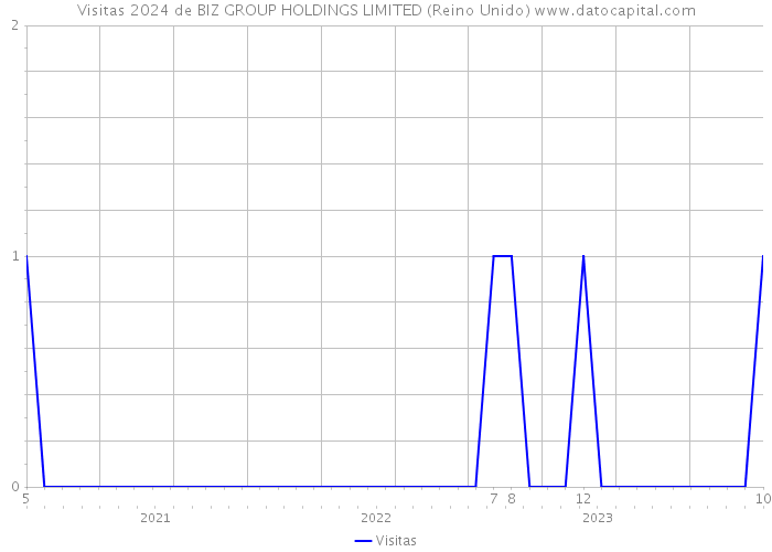 Visitas 2024 de BIZ GROUP HOLDINGS LIMITED (Reino Unido) 