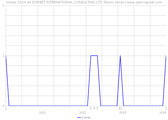 Visitas 2024 de DORSET INTERNATIONAL CONSULTING LTD (Reino Unido) 