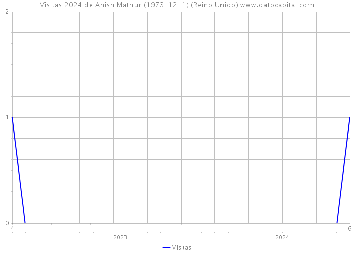 Visitas 2024 de Anish Mathur (1973-12-1) (Reino Unido) 