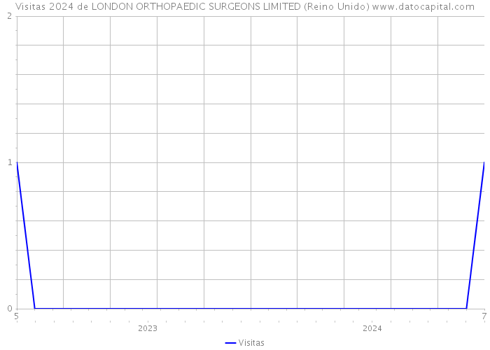 Visitas 2024 de LONDON ORTHOPAEDIC SURGEONS LIMITED (Reino Unido) 