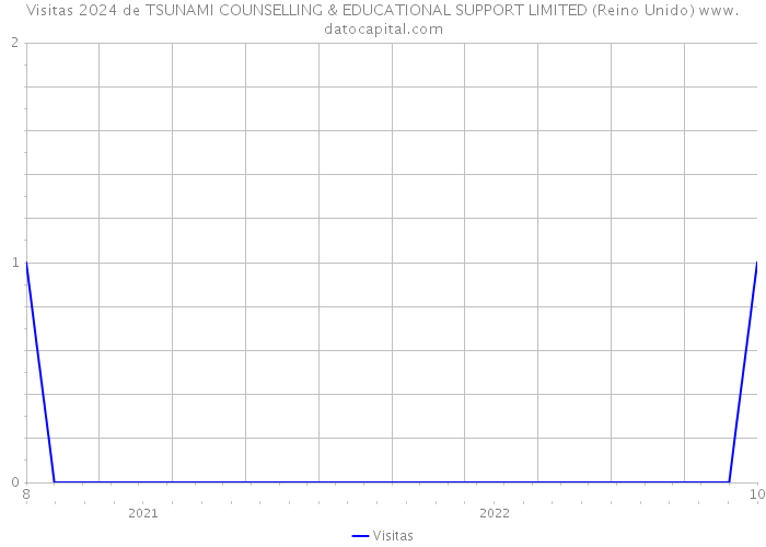 Visitas 2024 de TSUNAMI COUNSELLING & EDUCATIONAL SUPPORT LIMITED (Reino Unido) 