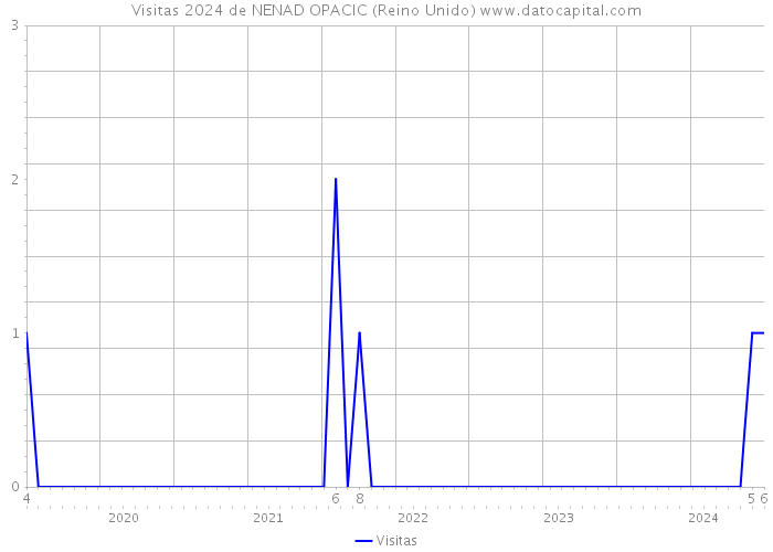 Visitas 2024 de NENAD OPACIC (Reino Unido) 