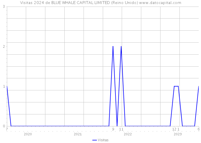 Visitas 2024 de BLUE WHALE CAPITAL LIMITED (Reino Unido) 