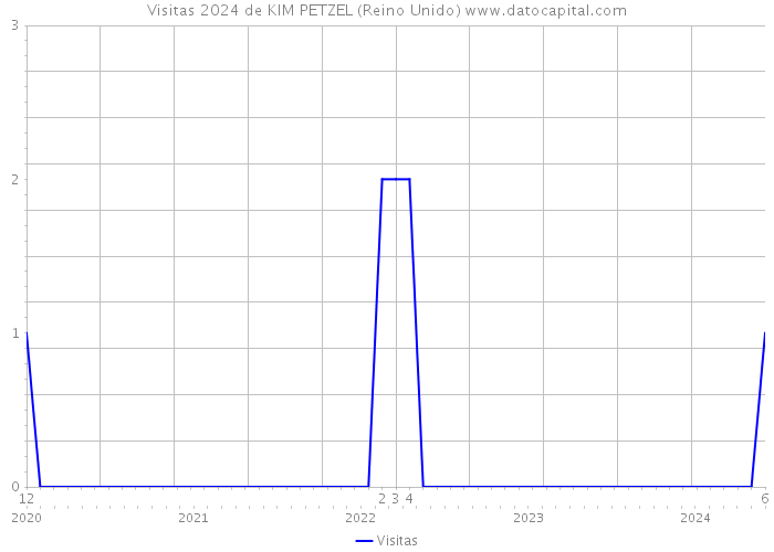 Visitas 2024 de KIM PETZEL (Reino Unido) 