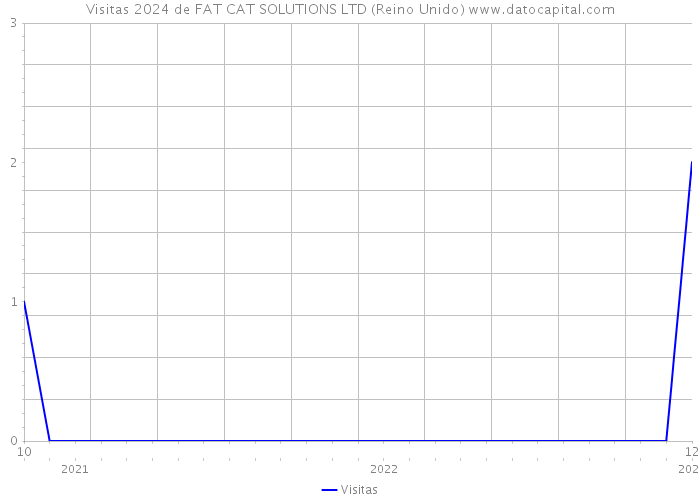Visitas 2024 de FAT CAT SOLUTIONS LTD (Reino Unido) 