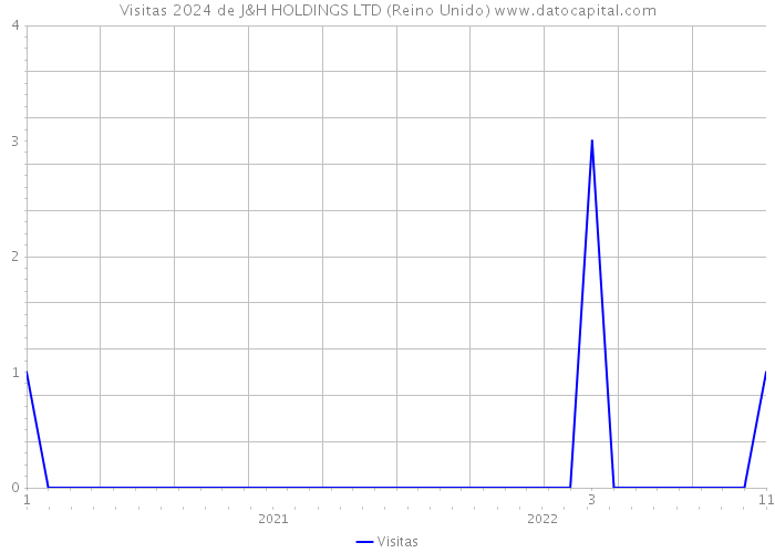 Visitas 2024 de J&H HOLDINGS LTD (Reino Unido) 