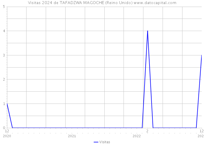 Visitas 2024 de TAFADZWA MAGOCHE (Reino Unido) 