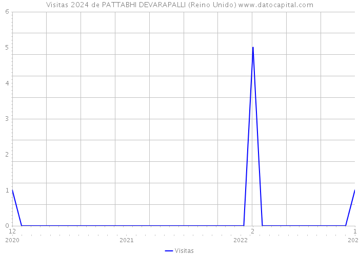 Visitas 2024 de PATTABHI DEVARAPALLI (Reino Unido) 