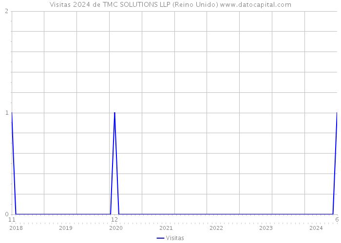 Visitas 2024 de TMC SOLUTIONS LLP (Reino Unido) 