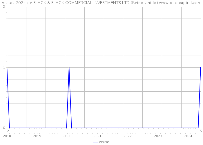 Visitas 2024 de BLACK & BLACK COMMERCIAL INVESTMENTS LTD (Reino Unido) 