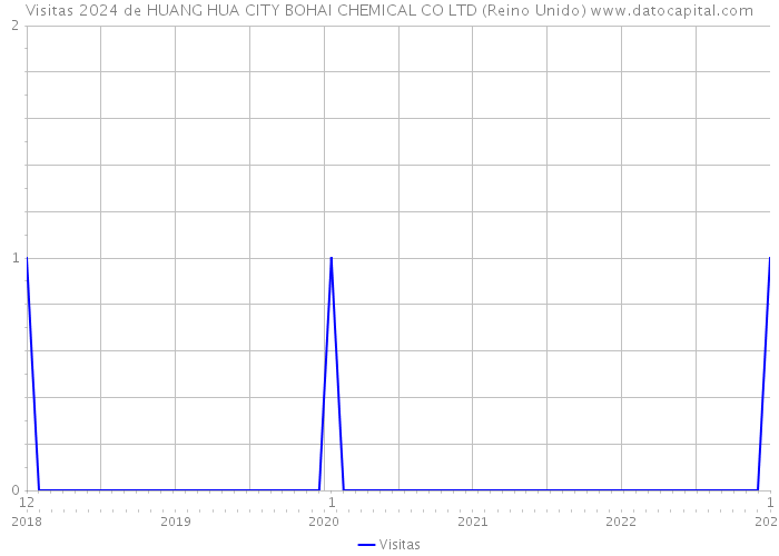 Visitas 2024 de HUANG HUA CITY BOHAI CHEMICAL CO LTD (Reino Unido) 
