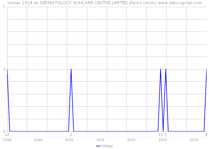 Visitas 2024 de DERMATOLOGY SKINCARE CENTRE LIMITED (Reino Unido) 