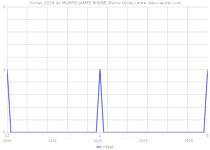 Visitas 2024 de MORRIS JAMES BISDEE (Reino Unido) 