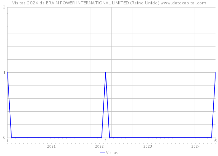 Visitas 2024 de BRAIN POWER INTERNATIONAL LIMITED (Reino Unido) 