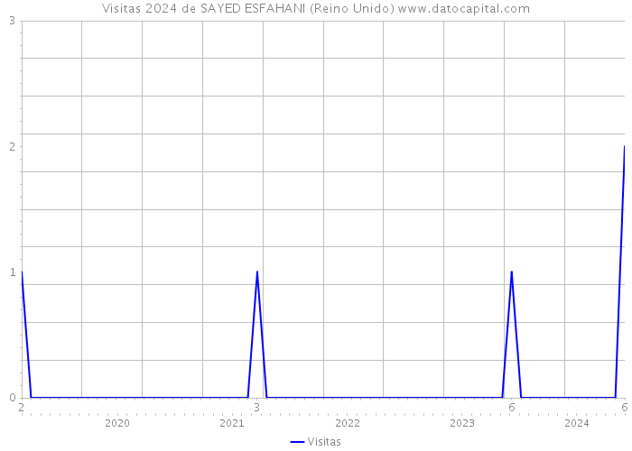 Visitas 2024 de SAYED ESFAHANI (Reino Unido) 