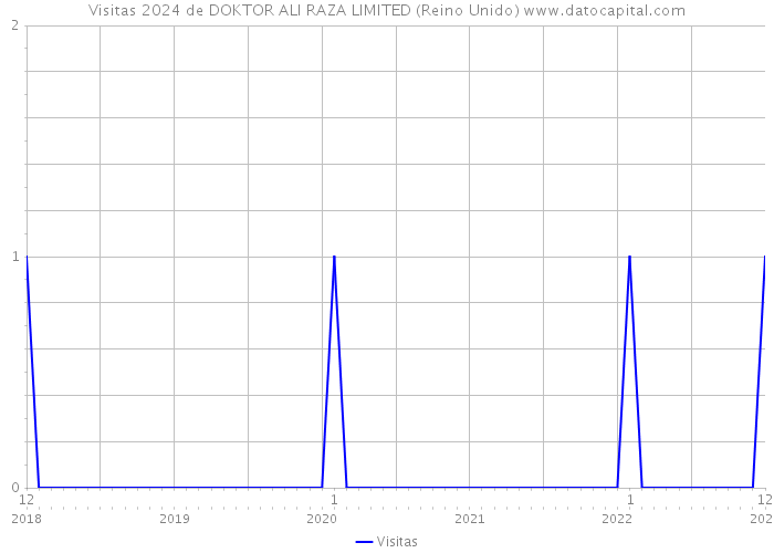 Visitas 2024 de DOKTOR ALI RAZA LIMITED (Reino Unido) 