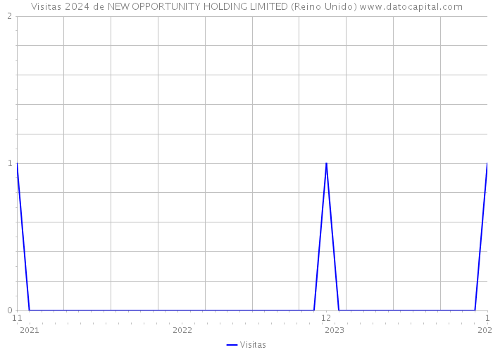 Visitas 2024 de NEW OPPORTUNITY HOLDING LIMITED (Reino Unido) 