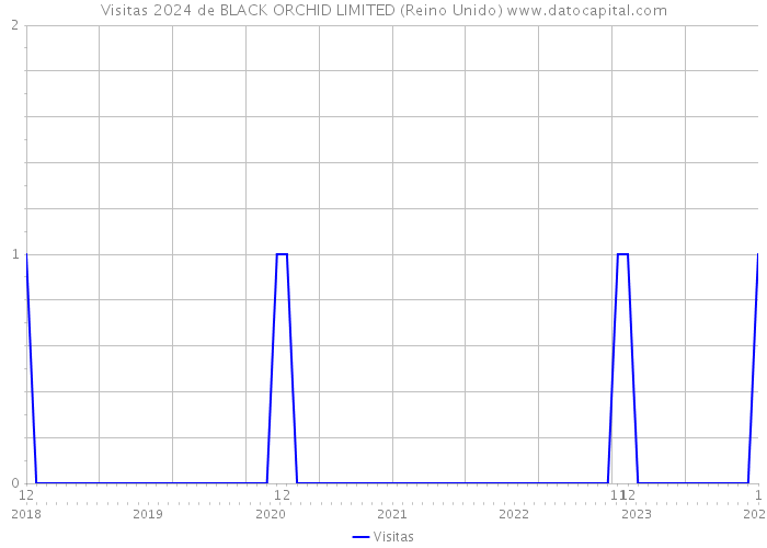 Visitas 2024 de BLACK ORCHID LIMITED (Reino Unido) 
