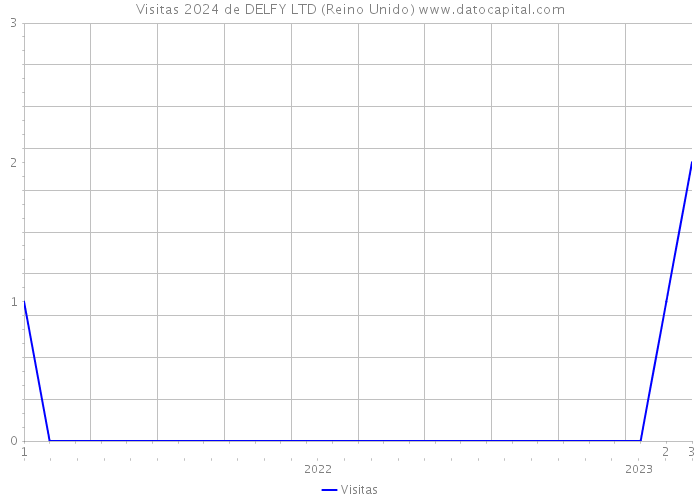 Visitas 2024 de DELFY LTD (Reino Unido) 